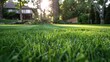 © BraveSpirit - Newly mowed lawn in a residential yard on a sunny day