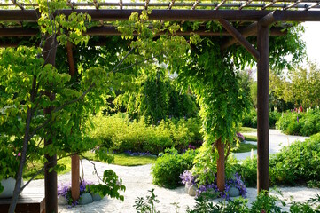 Wall Mural - A beautiful natural park with trees and shrubs.