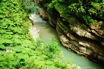 Wall Mural - View of the river in the gorge. The natural landscape.