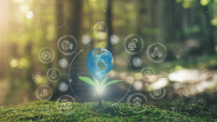 Wall Mural - america ecological green energy icons concept 3d earth on young plant springing up out of the moss s