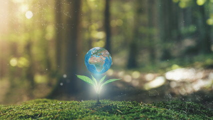 Wall Mural - africa and europe 3d earth on young plant springing up out of the moss soil