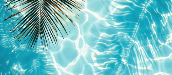 Wall Mural - Blurred palm leaf shadow on the water surface in a swimming pool, banner with copy space area Blurred blue and white background Summer concept Generative AI