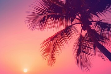 Wall Mural - vibrant pink and orange gradient sky with a palm tree silhouette a beautiful summer sunset backgroun