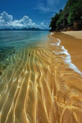 Wall Mural - Clear Blue Water Meets Golden Sand On A Tropical Beach