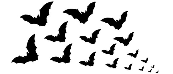 Wall Mural - Vector silhouette illustration of a bat flying for halloween day