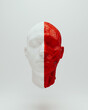 © paul - Red white anatomical head ecorche science biology cover 3d object white background 3d illustration render digital rendering