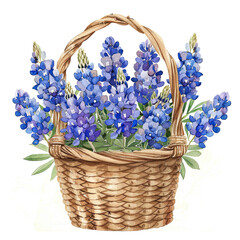 Wall Mural - Watercolor Illustration of Bunches of Bluebonnets in a Wicker Basket