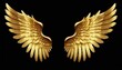 © Chaudhry - Golden shiny angel wings isolated on black background generative ai