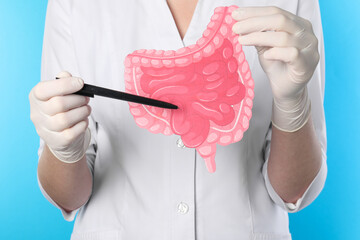 Wall Mural - Doctor showing paper intestine cutout on light blue background, closeup