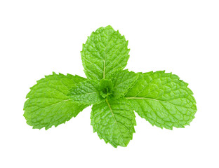 Poster - mint leafs isolated on transparent png