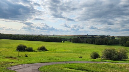 landscape with grass and blue sky