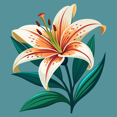 Wall Mural - vector illustration of lily