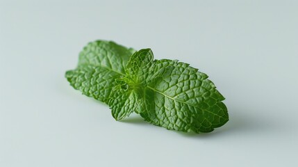 Wall Mural - Fresh green mint leaf with soft focus isolated on white, perfect for natural skincare ads