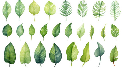 Watercolor painting tropical leaf illustration collection set - many different leaves, isolated on white background, Generative AI