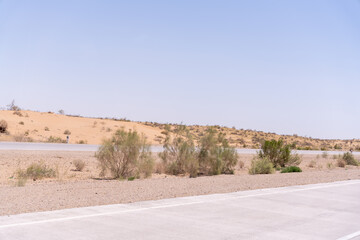 Wall Mural - A desert landscape with a road in the middle. The road is empty and there are no cars on it. The sky is clear and the sun is shining brightly