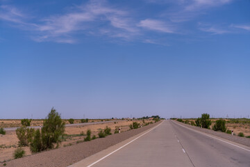 Wall Mural - A long, empty road with a blue sky above. The road is lined with trees and there are no cars or people on it