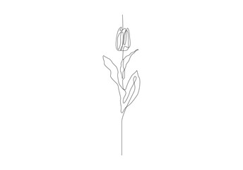 Single continuous vector line design of Tulip flower Stem