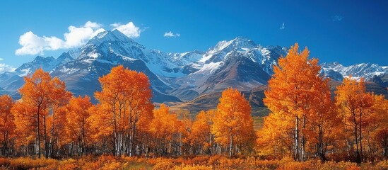 Wall Mural - Autumnal Landscape with Snowy Mountain Peak