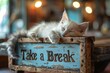 © Jakraphong - Cute Kitten Sleeping on 'Take a Break' Signboard with Blurred Background