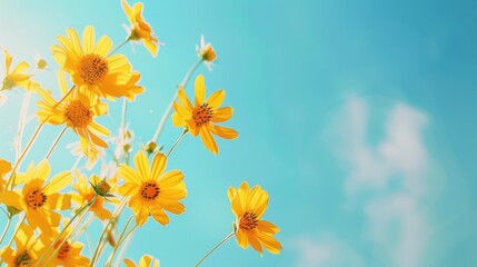 Flowers of yellow against a blue sky with space for text