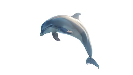 Wall Mural - dolphin isolated on white