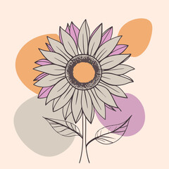 Poster - vector illustration of sunflower