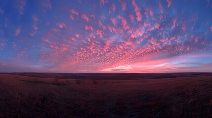 Wall Mural - beautiful sky at sunset over the plains, with pink and purple clouds in the blue sky. in front there
