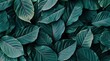 © AA - leaf background