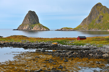 Wall Mural - Stones and peaks of rocks at fjord shore