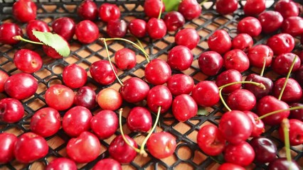 Poster - red fresh cherries in a box