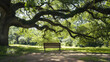 © Karolis - A wooden bench sits under the shade of a large tree with sprawling branches in a peaceful, sunny park.