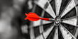 © Наталья Лазарева - focused red dart in target's center, representing business goals and achievements. suitable for success coaching, corporate strategy sessions, motivational posters, and precision marketing campaigns