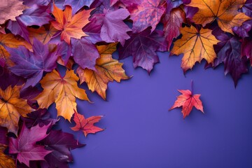 Wall Mural - Autumn Leaves on Purple Background