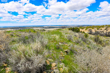 Wall Mural - Remains of a Atsinna Pueblo wall.