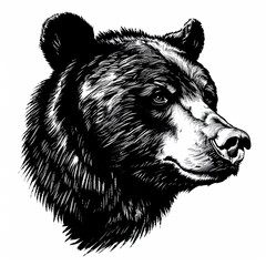 a black and white drawing of a bear 's head