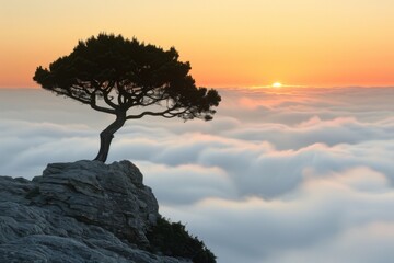 Poster - Lone Tree Above the Clouds at Sunrise