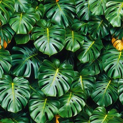 Elegant green palm leaf pattern with luxurious golden monstera foliage for summer decor