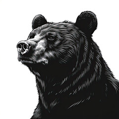 A black and white drawing of a bear on a white background