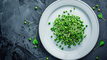 Wall Mural - Healthy eating concept depicted by green pea sprouts on a white plate for weight loss and vegetarian diet