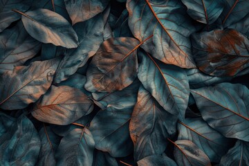 Wall Mural - Macro leaves background texture