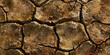 © Lila Patel - Cracked Earth: Detailed Close-Up Texture of Dry Earth, showcasing Cracks and Texture Variation