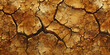 © Lila Patel - Cracked Earth: Detailed Close-Up Texture of Dry Earth, showcasing Cracks and Texture Variation