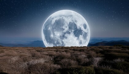 Wall Mural - full moon background