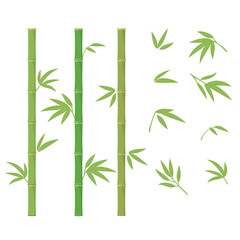 Wall Mural - Green bamboo illustration, Vector design elements set.
