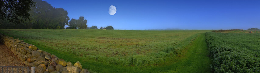 Wall Mural - Blue sky, full moon and field with rural landscape for agriculture, farming and sustainability. Grass, meadow and environment for countryside village with lunar satellite, trees and nature in Ireland