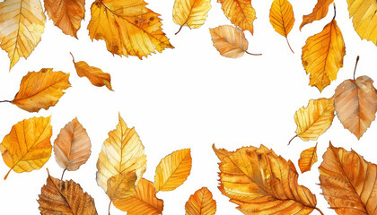 Wall Mural - A watercolor painting of autumn leaves with a white background