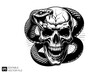 © Niken - Evil Skull head tied by snake vector illustration design templates