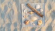 © EF Studio - a flat lay composition of beachcombing treasures--seashells, driftwood, and sea glass