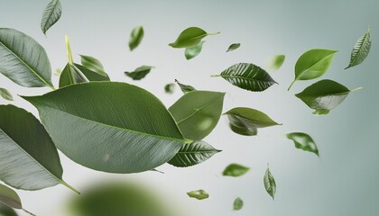 Wall Mural - flying realistic green leaves dancing flow isolate 3d render png