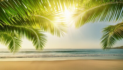 Wall Mural - photo of sun rays passing through the lush green palm tree leaves beach summer concept background